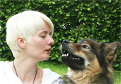 Tierkommunikation